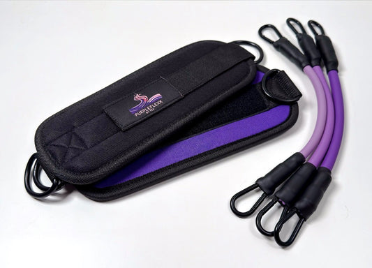 Ankle Straps w/ elastic weights